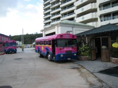 毒々しいピンク色のバス