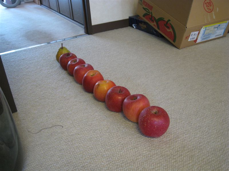りんごを並べる６
