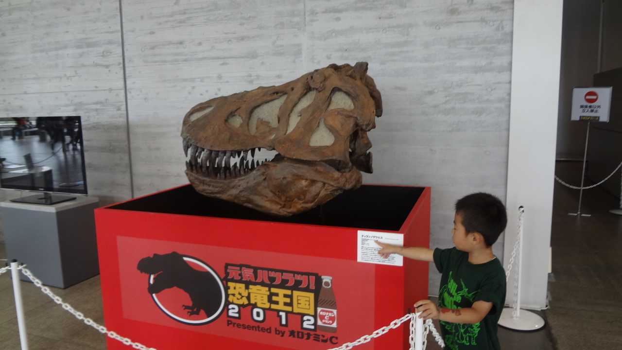 ティラノサウルスの頭