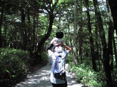 上高地を歩く